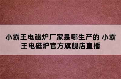 小霸王电磁炉厂家是哪生产的 小霸王电磁炉官方旗舰店直播